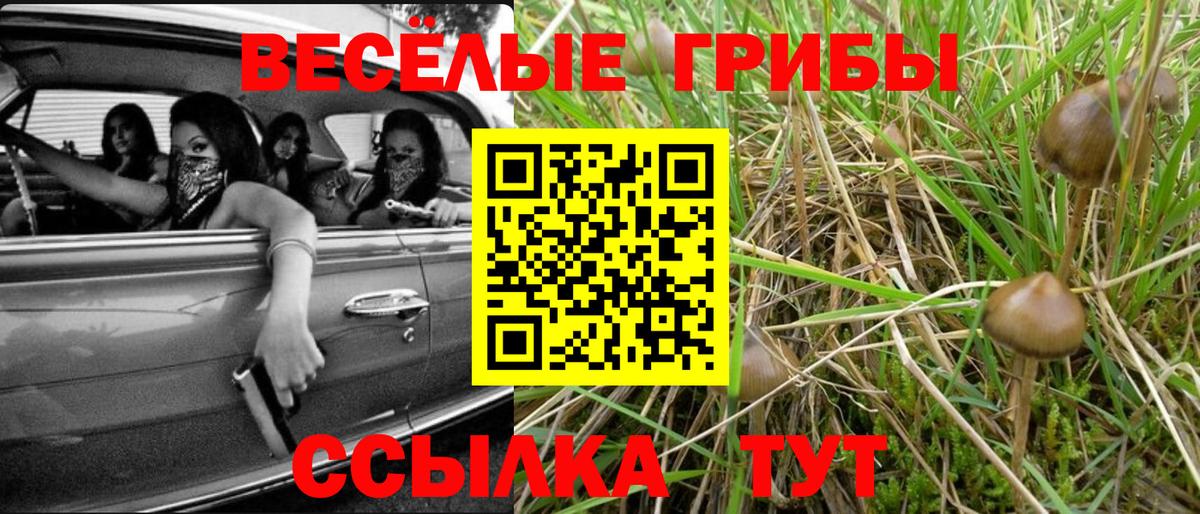 Псилоцибиновые грибы Psilocybe  Псилоцибиновые грибы мицелий  хочу наркоту  Вход с VPN  Северск 